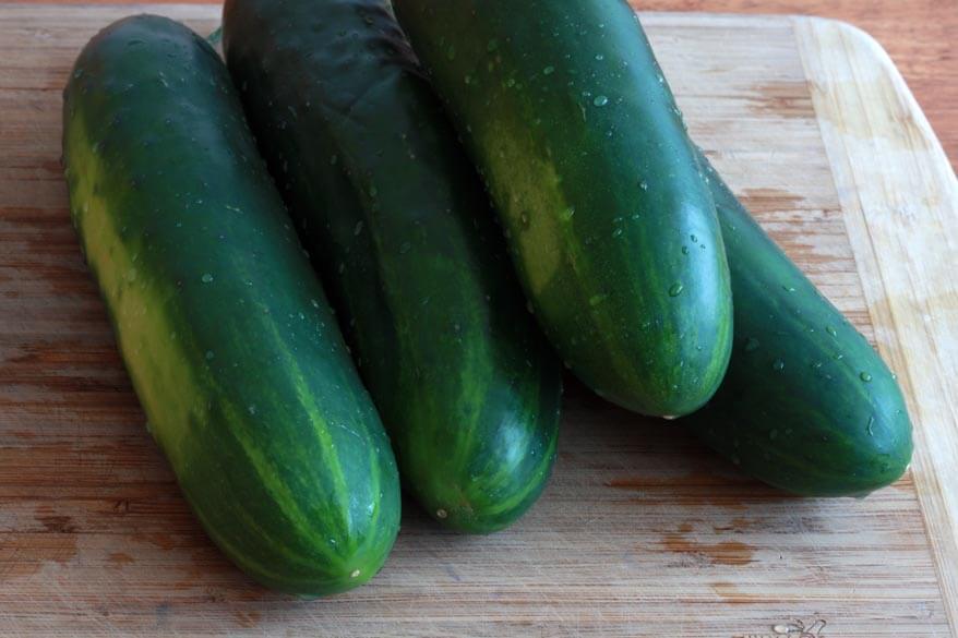 31+Homemade Pickles CUCUMBER Seeds Organic Summer Vegetable Garden Container