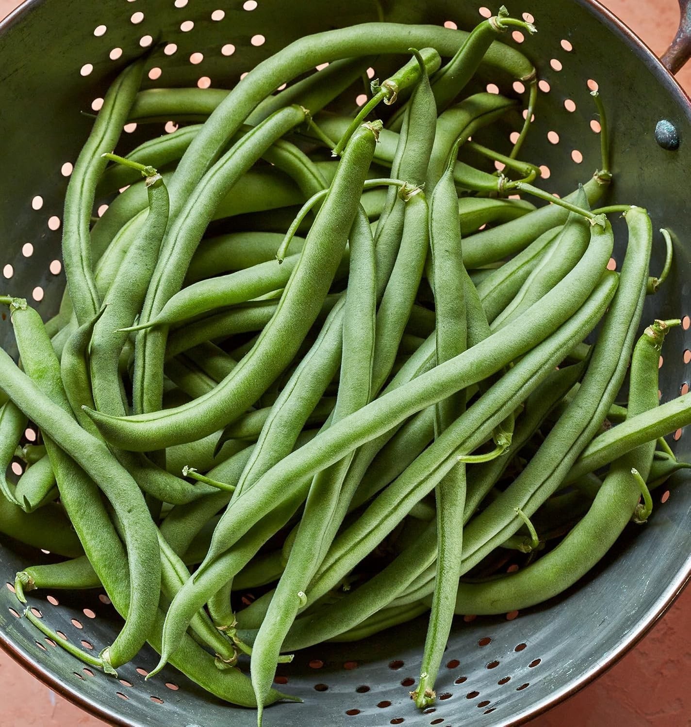 Blue Lake 274 Bush Bean Seeds 2 ounces of seed