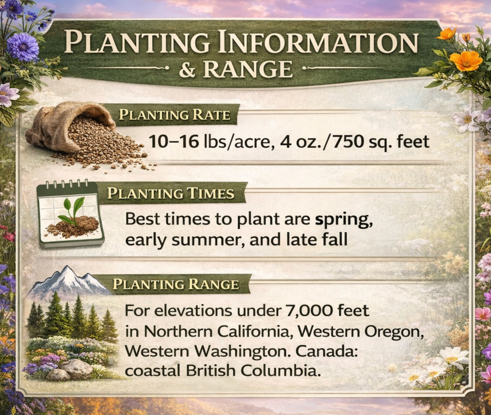 1 Pound Western Washington Bulk Wildflower Seed Mix 1lb Covers 3,000sq-ft