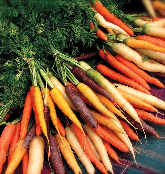 400+RAINBOW CARROTS Seeds 5 Colors Native Heirloom Vegetable Garden Container