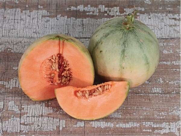 25 Quality Fresh Super-Sweet Charentais Premium Melon Seeds-A 17