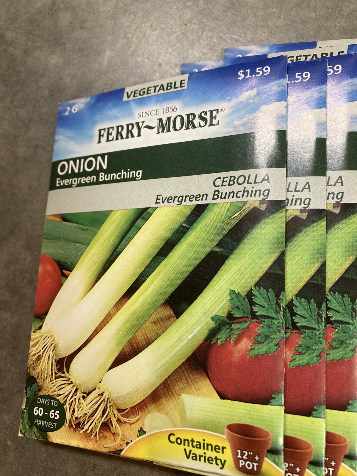 10 Ferry Morse Onion Evergreen Bunching Seed Packs Vegetable Free Shipping