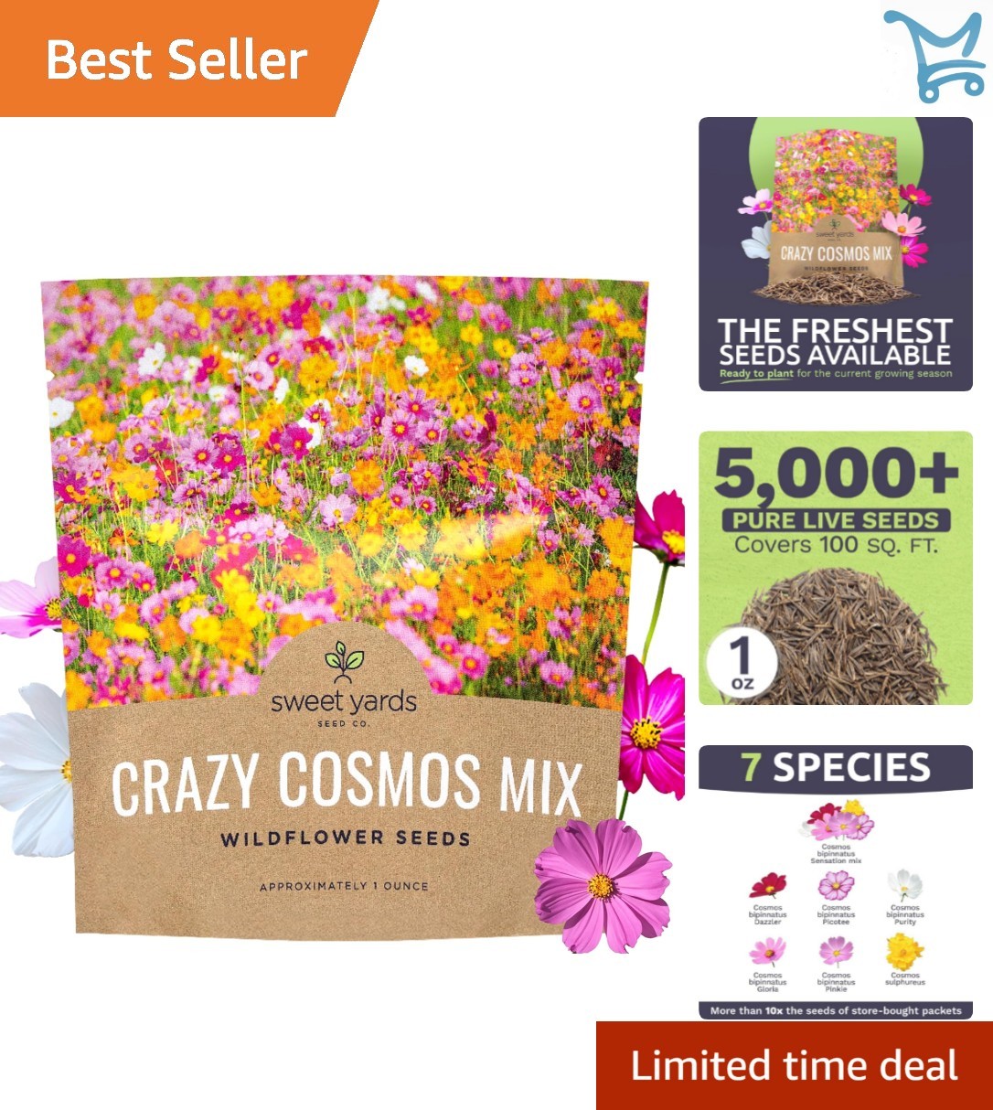 Wildflower Cosmos Seeds Bulk 1 Oz Blooming From Spring to Fall