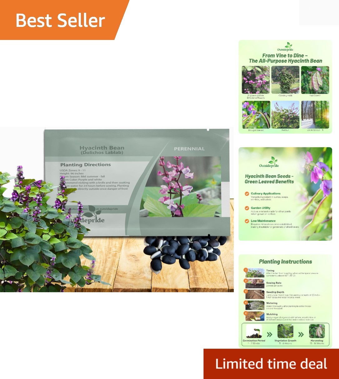 Green Lablab Hyacinth Bean Vine Seeds – 100 Pcs Perennial, Fast Growing Veget…