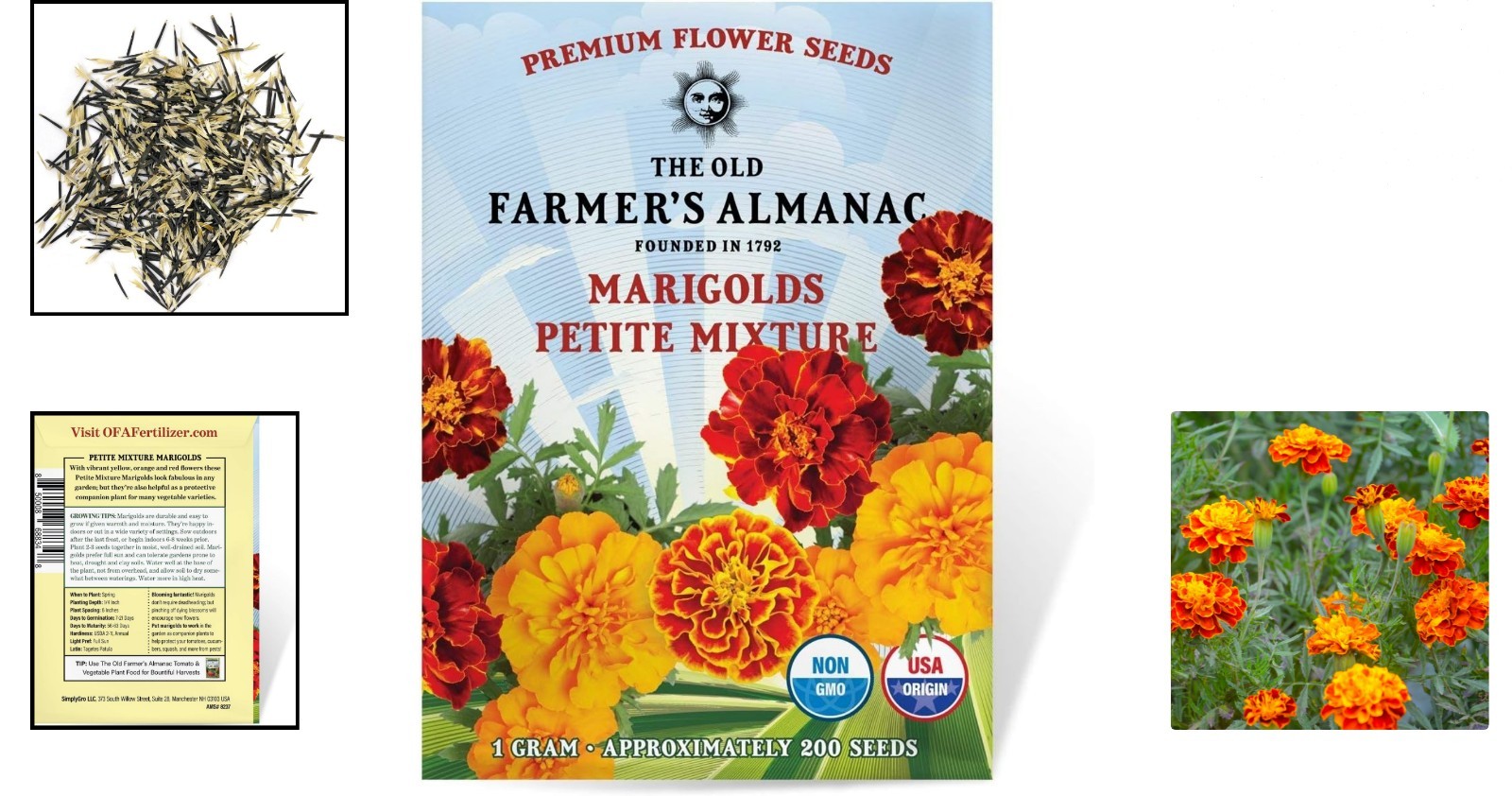 Beautiful Non-GMO Marigold Flower Seeds – Perfect for Outdoor Gardens, 200 pcs