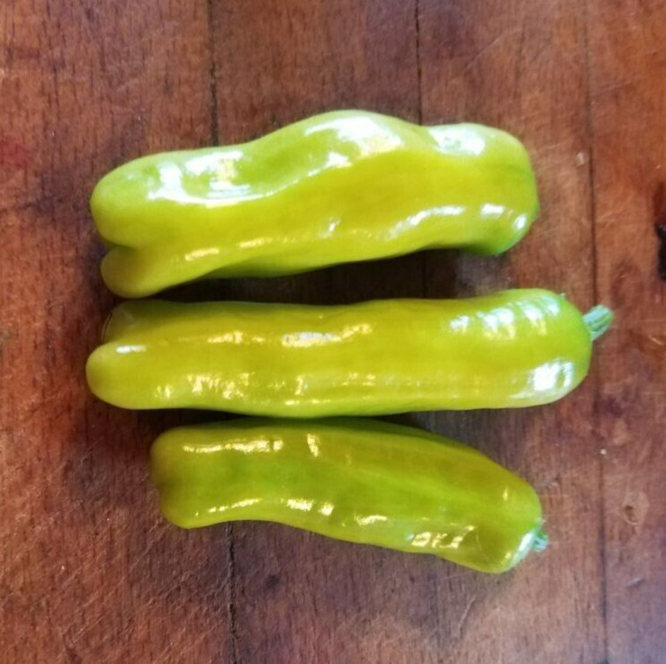 25 Fresh Heirloom Italian Pepperoncini Premium | NON-GMO | Pepper Seeds-B 38