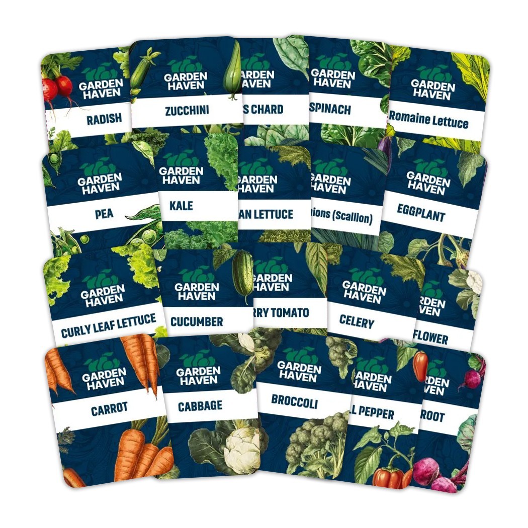 20 Vegetable Seeds Variety Pack Complete Grow Kit Indoor Outdoors DIY Starter Ki