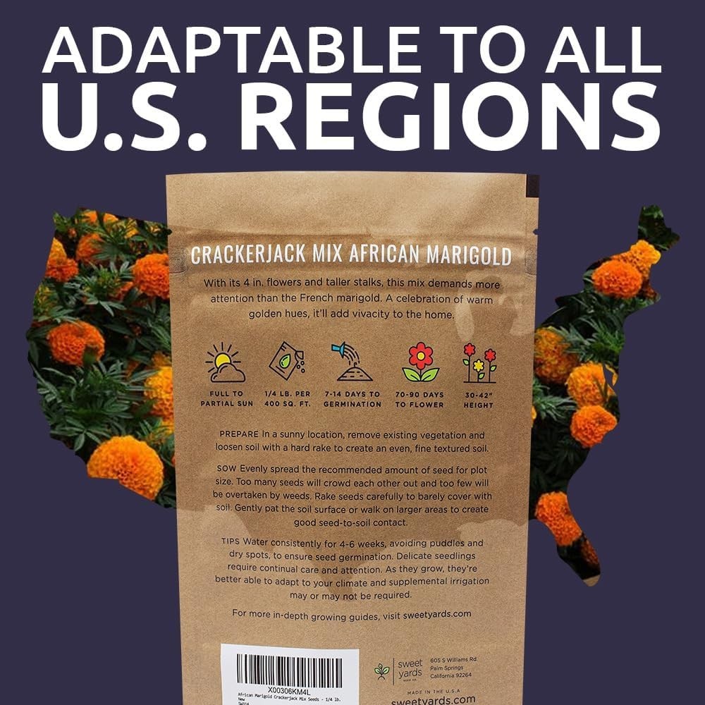 Stunning African Marigold Seeds – 1/4 lb Bag, 40,000 Seeds for Easy Gardening