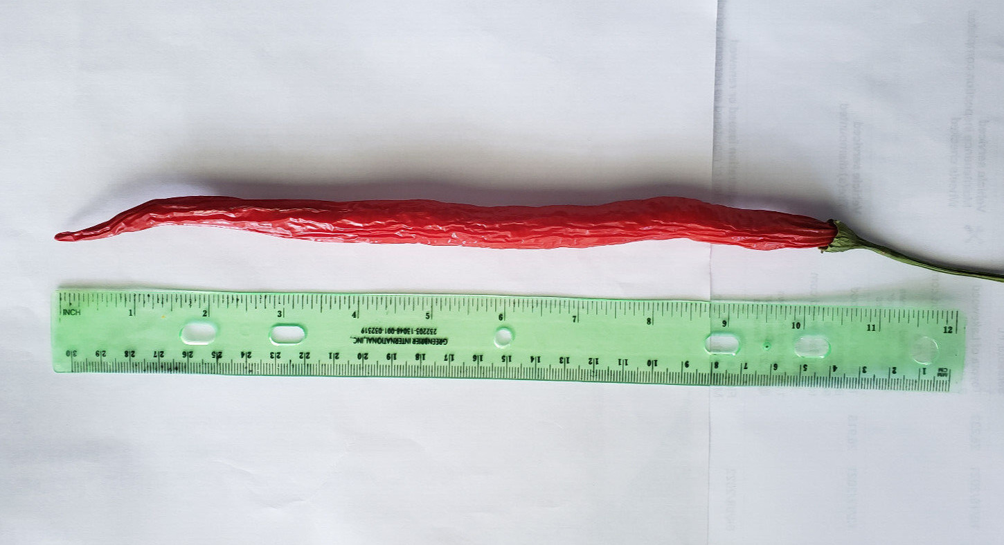 One long dry hot pepper –
