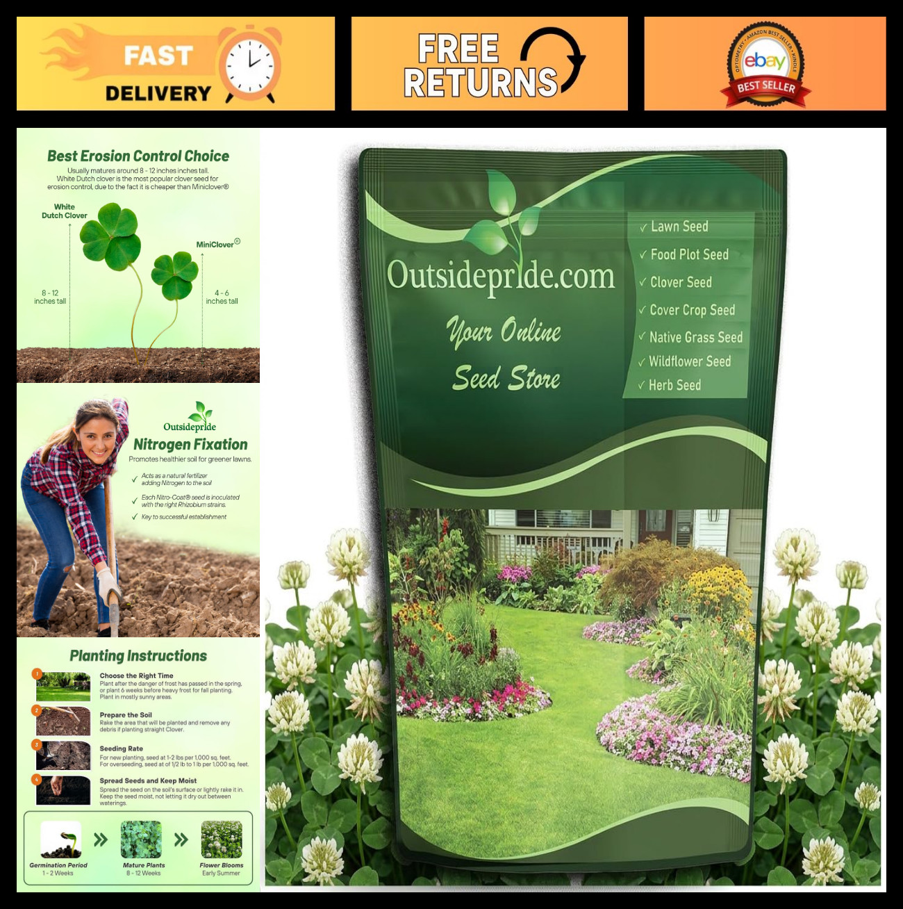 5 lbs Perennial White Dutch Clover Seed – Nitrocoated, Inoculated, Lawn Alternat