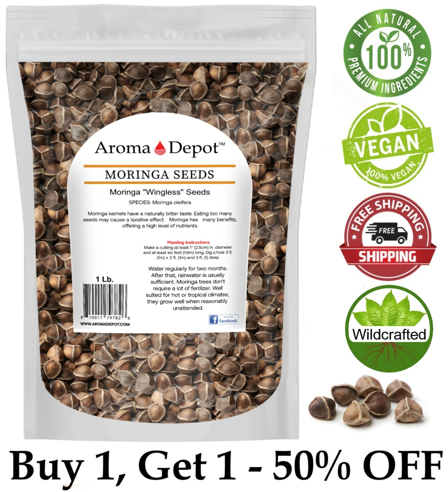 1Lb. Moringa Seeds 1600 Fresh Semilla de Moringa oleifera 100% Fresh Malunggay