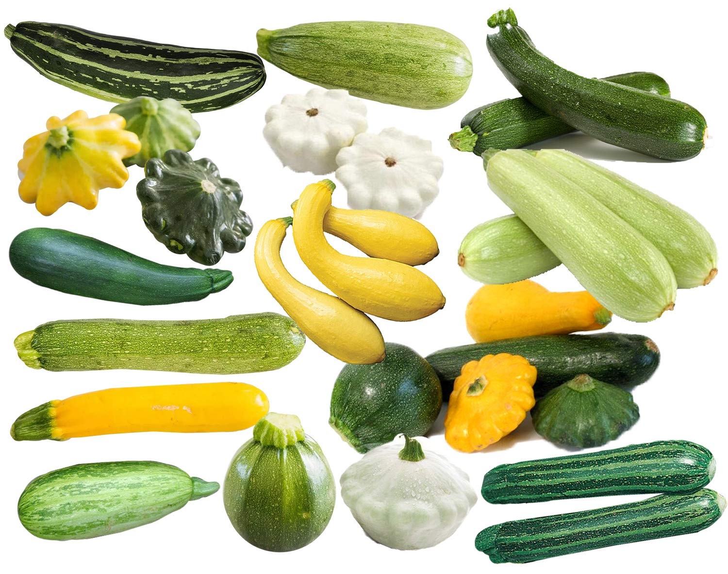 Zucchini and Squash Mix Seeds 50 Non-GMO Varieties Grown in USA – Planting