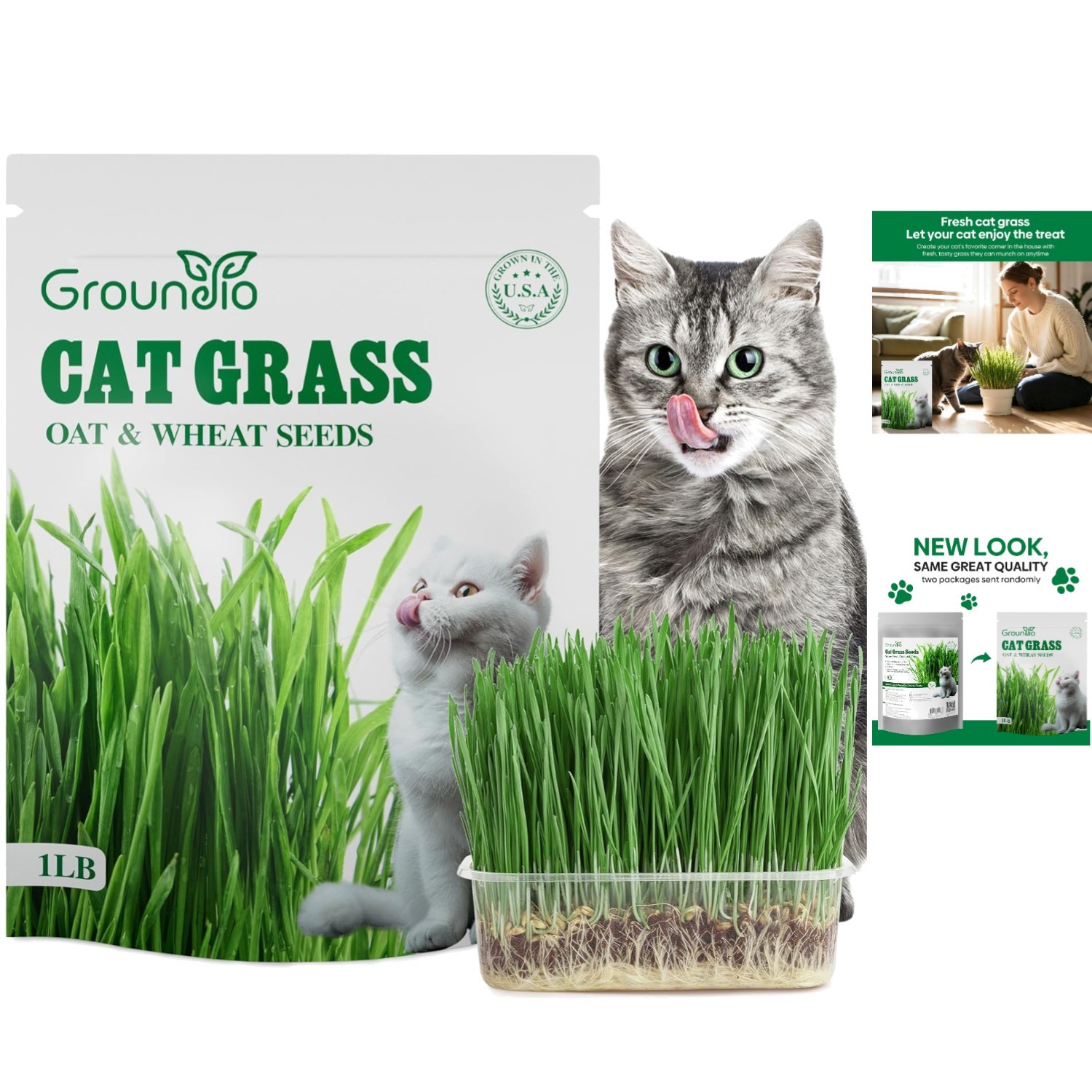 16 OZ Cat Grass Seeds – Low Maintenance & Pet-Friendly Indoor/Outdoor Use