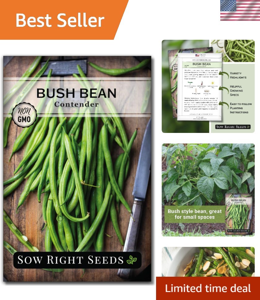 Contender Bush Beans – Heirloom Seeds for Kids’ Garden Projects – Easy to Grow