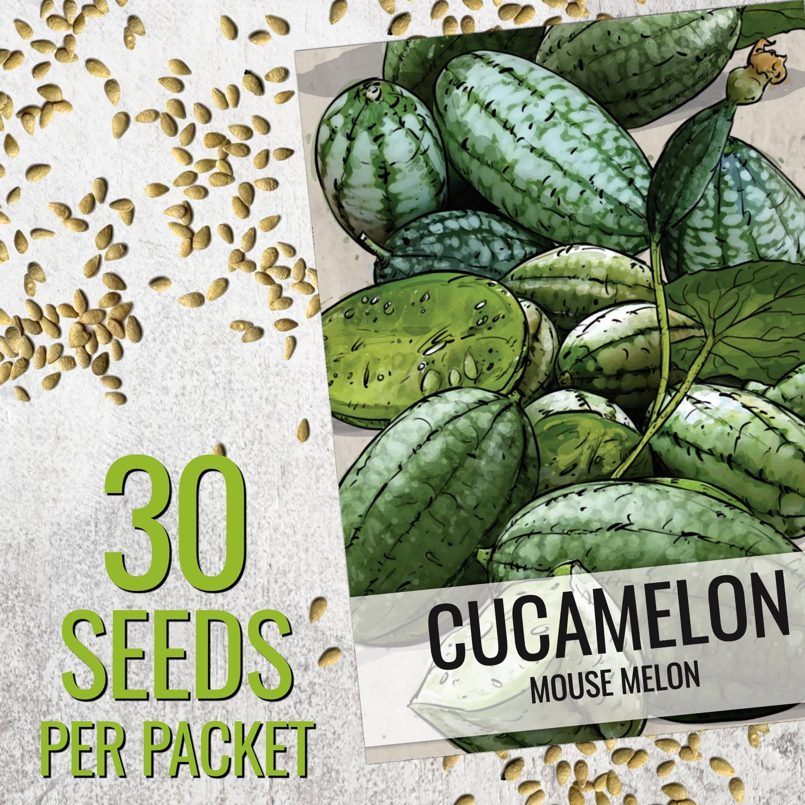Cucamelon Seeds Grow Mexican Sour Gherkin Miniature Melons NonGMO &
