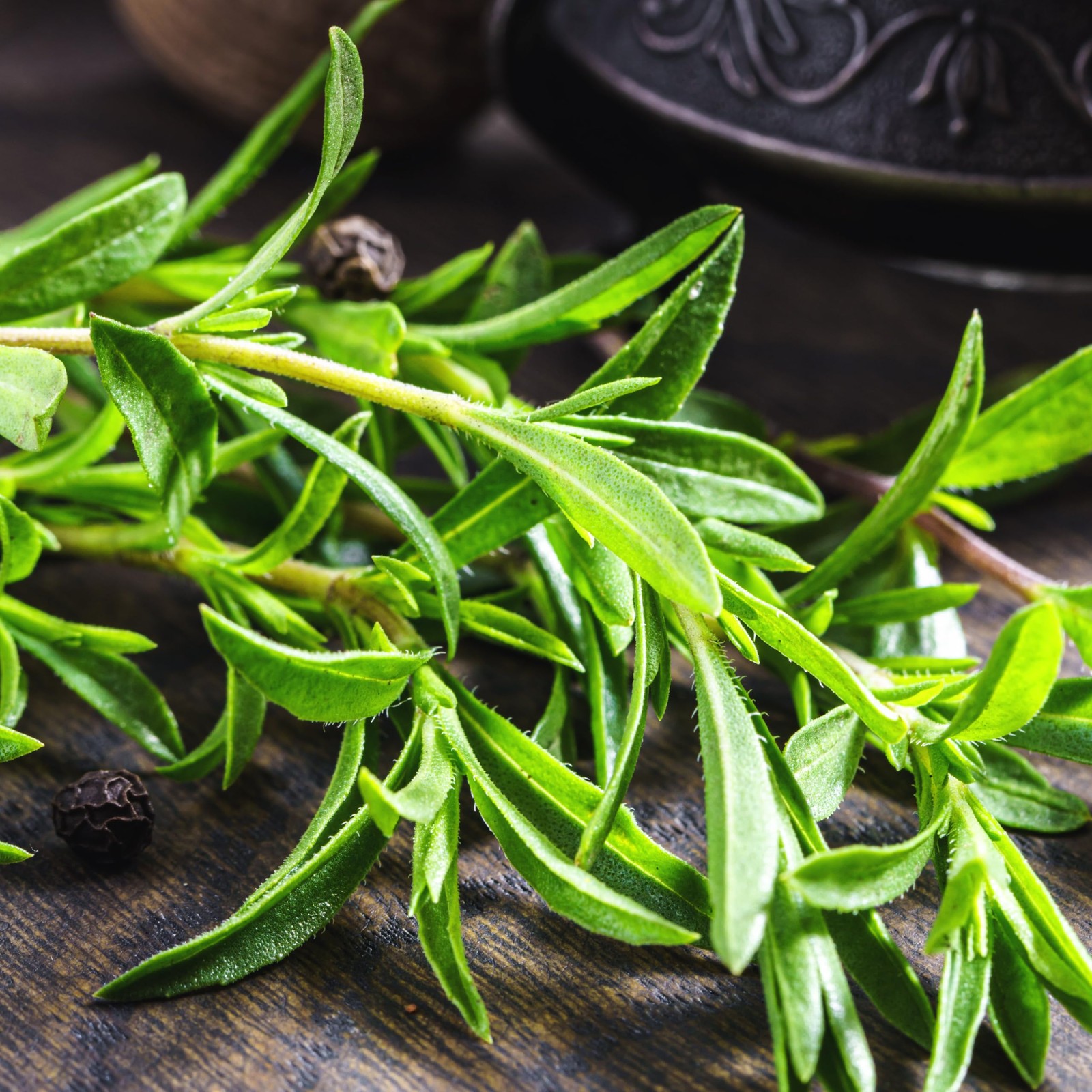 Summer Savory Herb Seeds For Planting Culinary Kitchen Garden 1 Pack