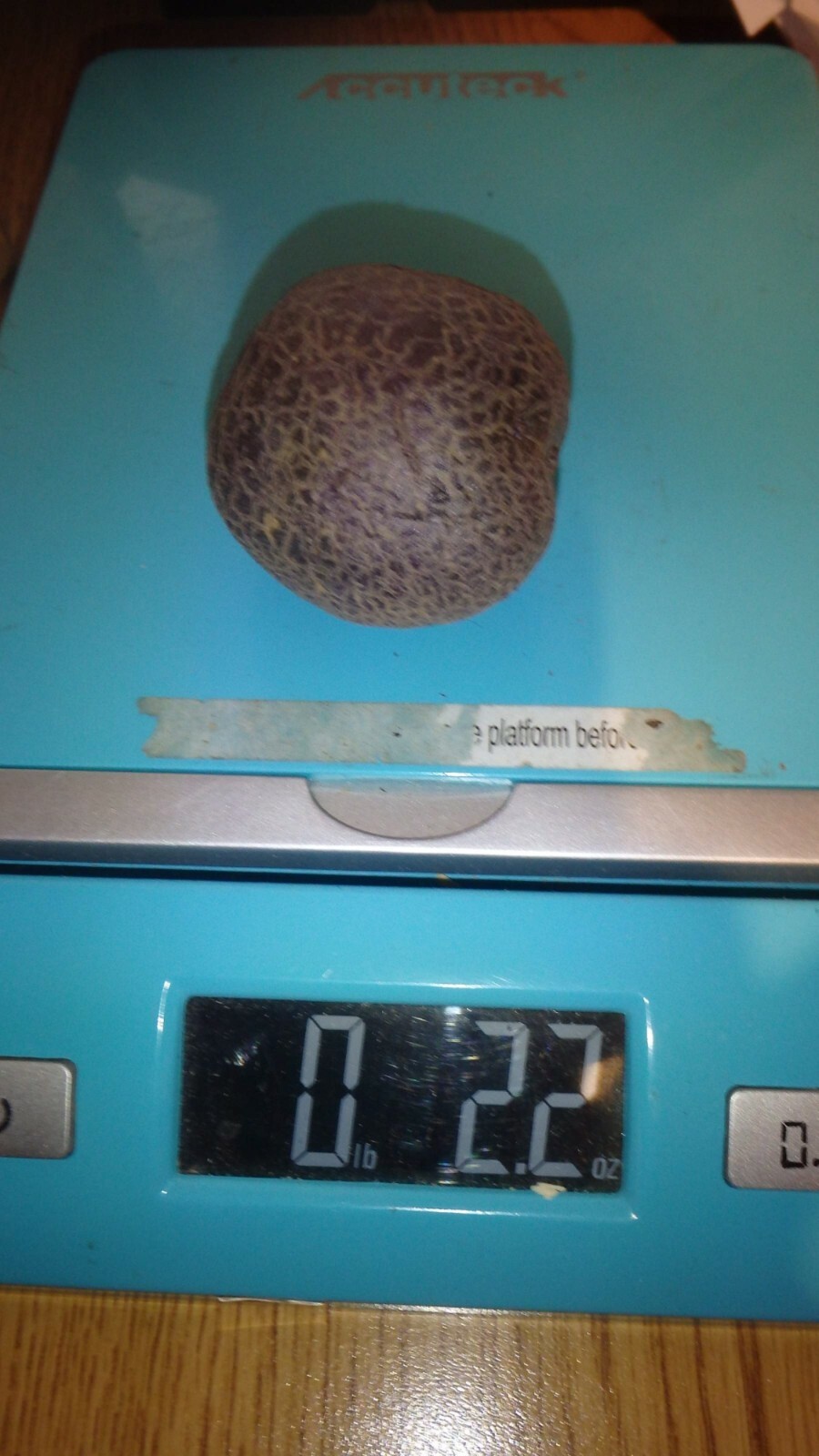 ORGANIC All Blue 5 Potato tubers, Purple Potato Solanum tuberosum Unique garden