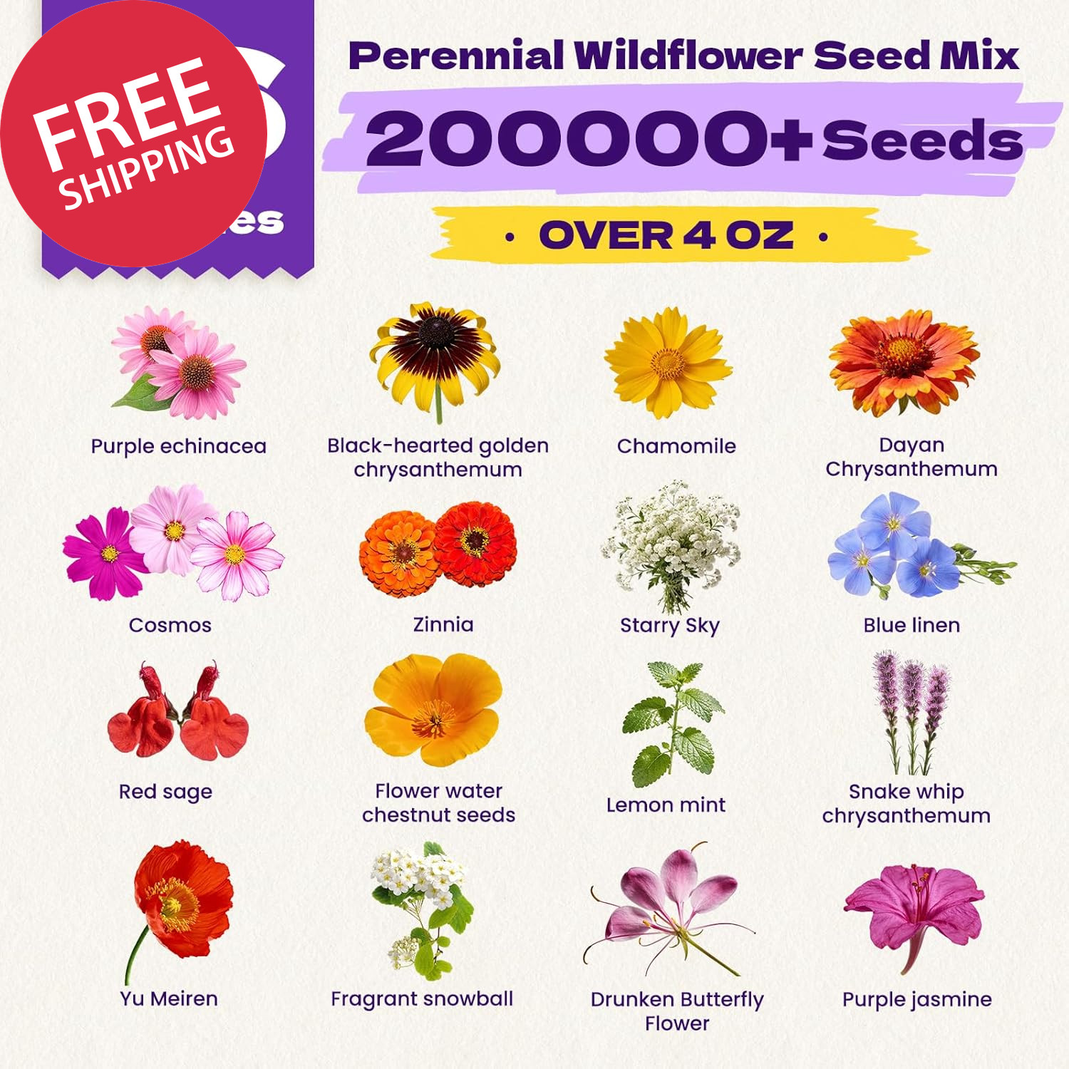 200000PC 4oz Wildflower Seeds Bulk 16 Variety Mix For Vast Open Field Planting