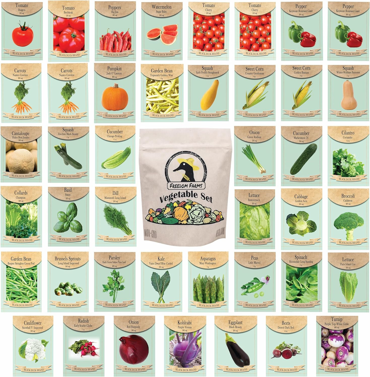 Set of 43 Assorted Vegetable & Herb Seed Packets – Over 10,000 Seeds