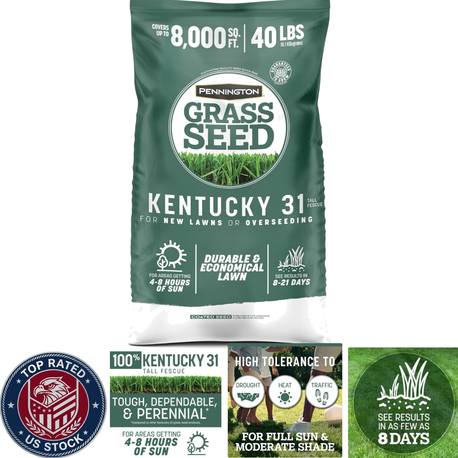 Kentucky 31 Fescue Seed 40 LB – Efficient Coverage for Low-Maintenance Lawns