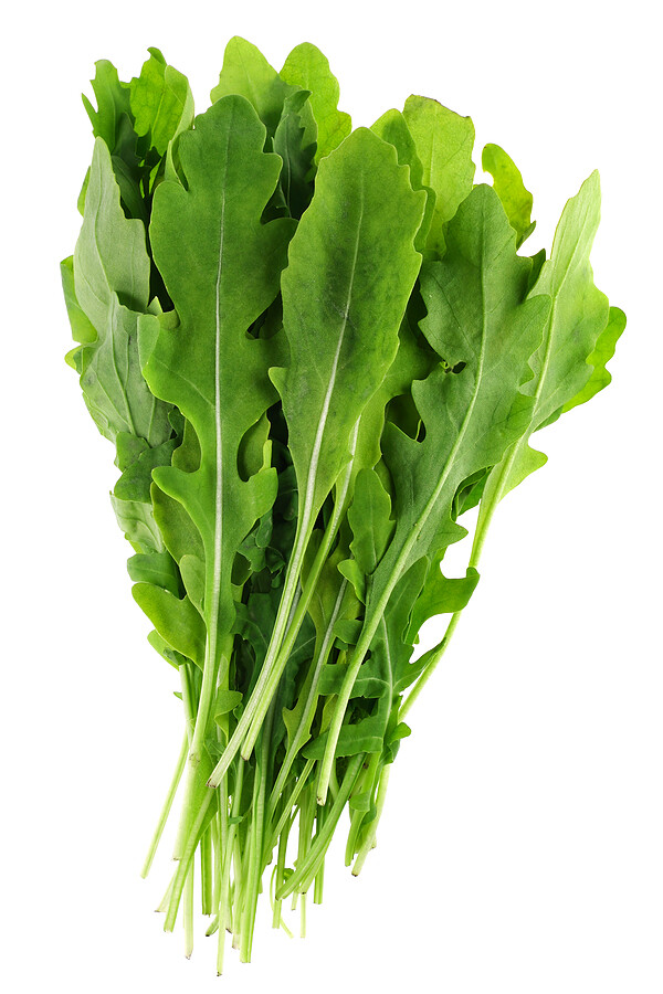 Arugula Seeds 1000+ Roquette Rocket Herb Garden Heirloom NON-GMO FREE SHIPPING
