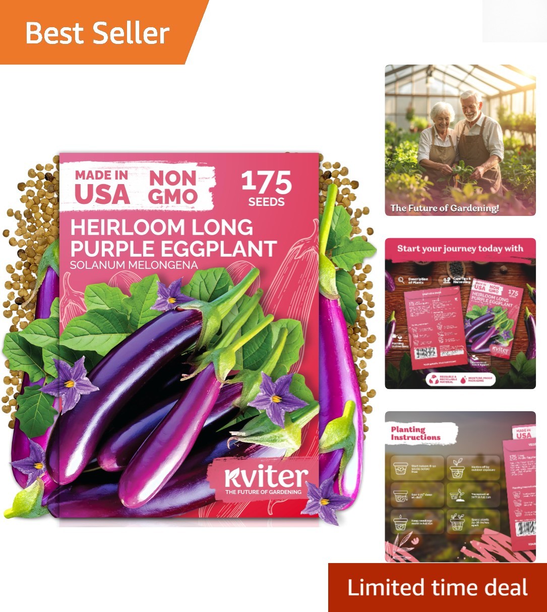 Compact Dark Purple Italian Eggplant Seeds – 175 Heirloom Seeds for Small Spaces