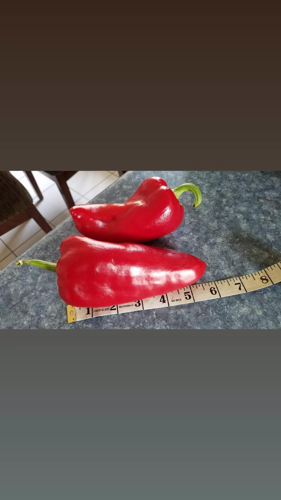 Ajvarski Sweet Pepper Seeds 10 Organic Seeds *Free Shipping*