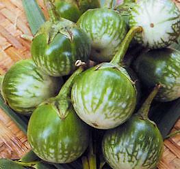 Eggplant Thai Round Green 250 seeds