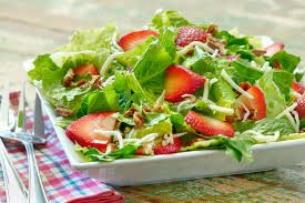Parris Island Romaine Lettuce Seeds | Cos Green Leaf Seed Garden Vegetable 2024