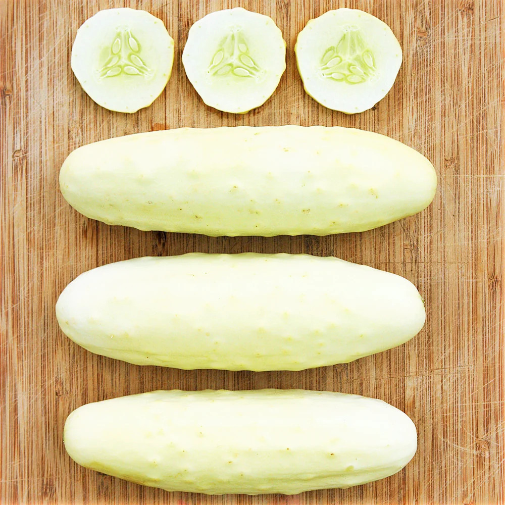 White Wonder Cucumber Seeds | Albino Ivory King Cucumbers Pickle Seed Fresh 2024
