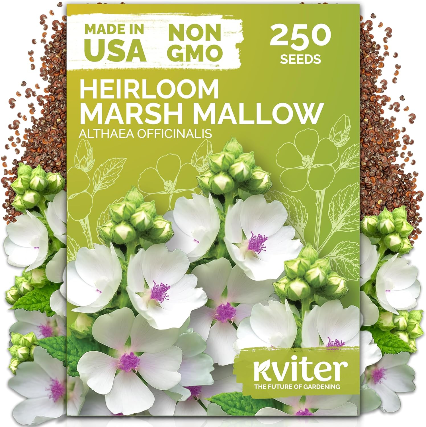 250 Marsh Mallow Seeds for Planting (Althaea Officinalis) – White Mallow Medicin