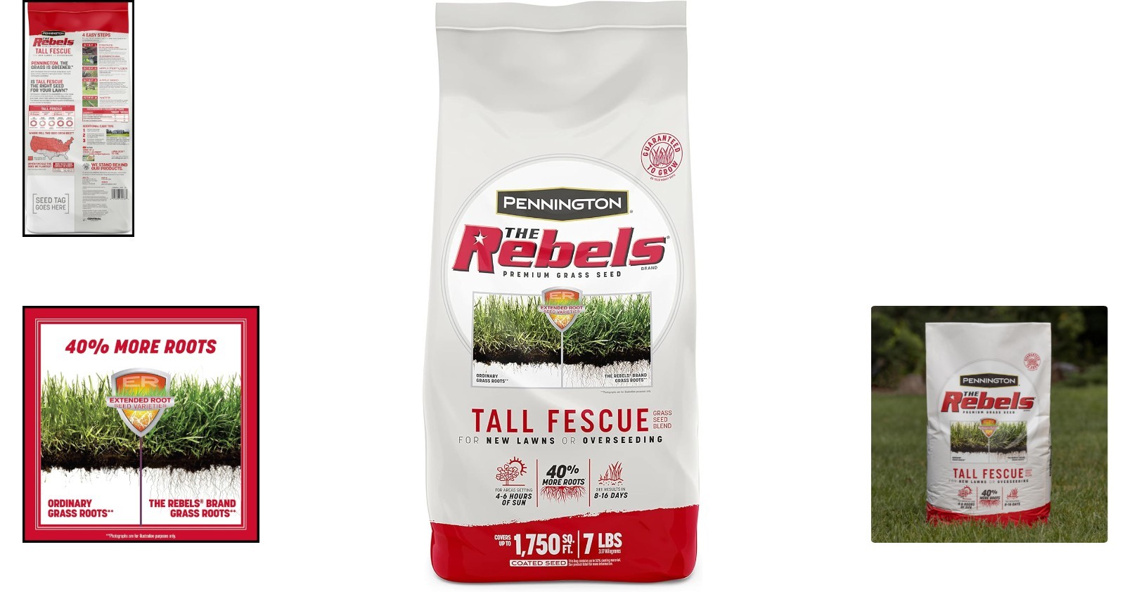 The Rebels 7 lb Tall Fescue Grass Seeds – Fast Germination for Optimal Lawns