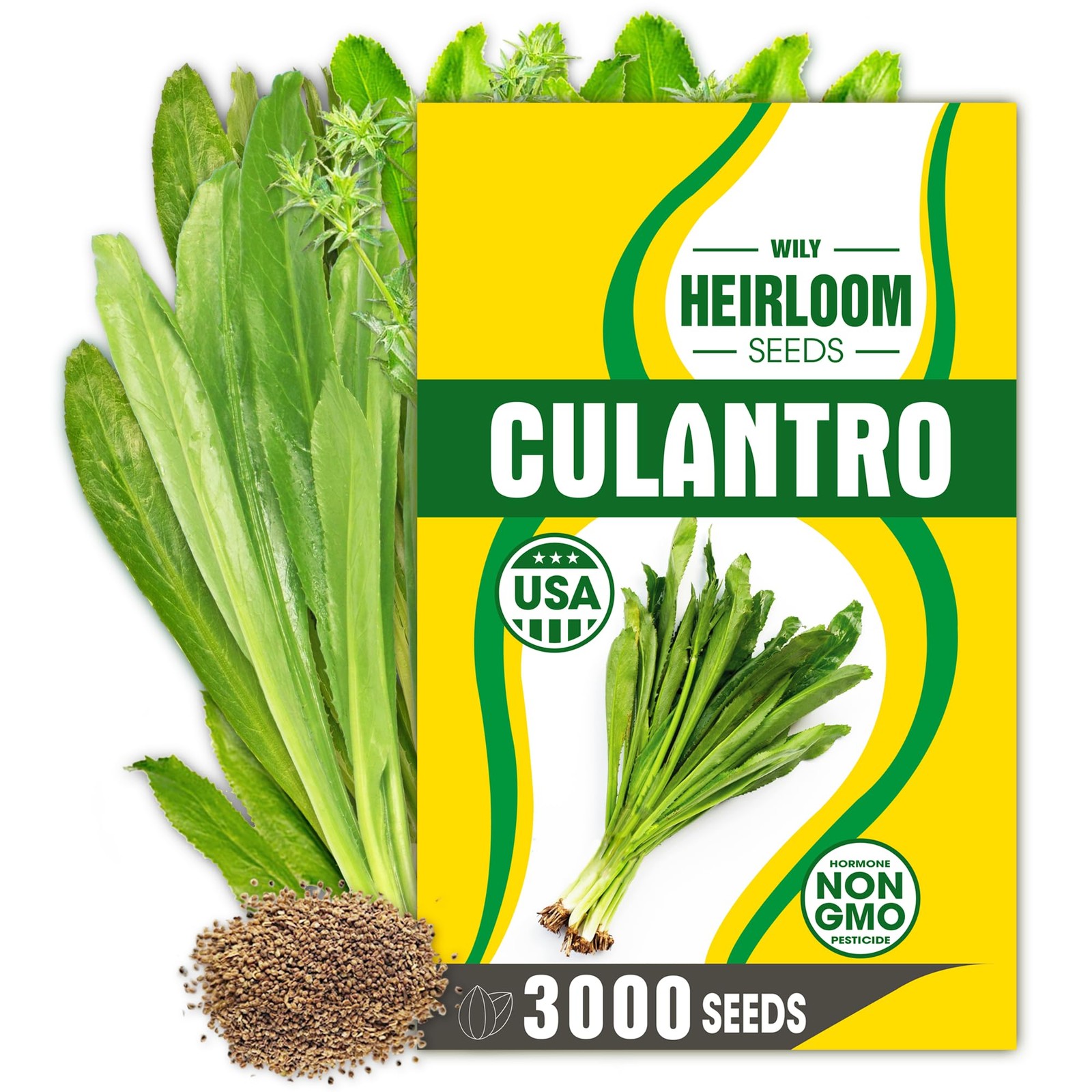 Premium Culantro Seeds – 3,000+ Non-GMO Heirloom – High-Yield, Green