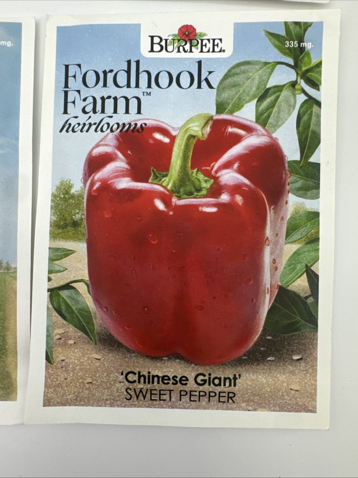 Fordhook Farm Heirlooms Burpee Non-GMO 288 Seed Packs 21 Mixed Varieties Prepper