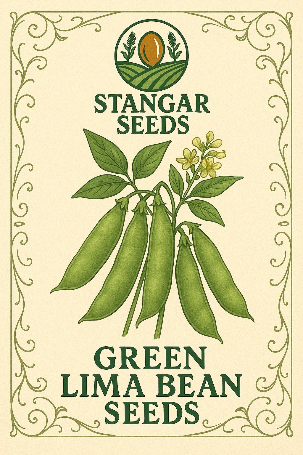 Stangar Green Lima Beans Seeds Non-gmo Fresh 2026 Heirloom