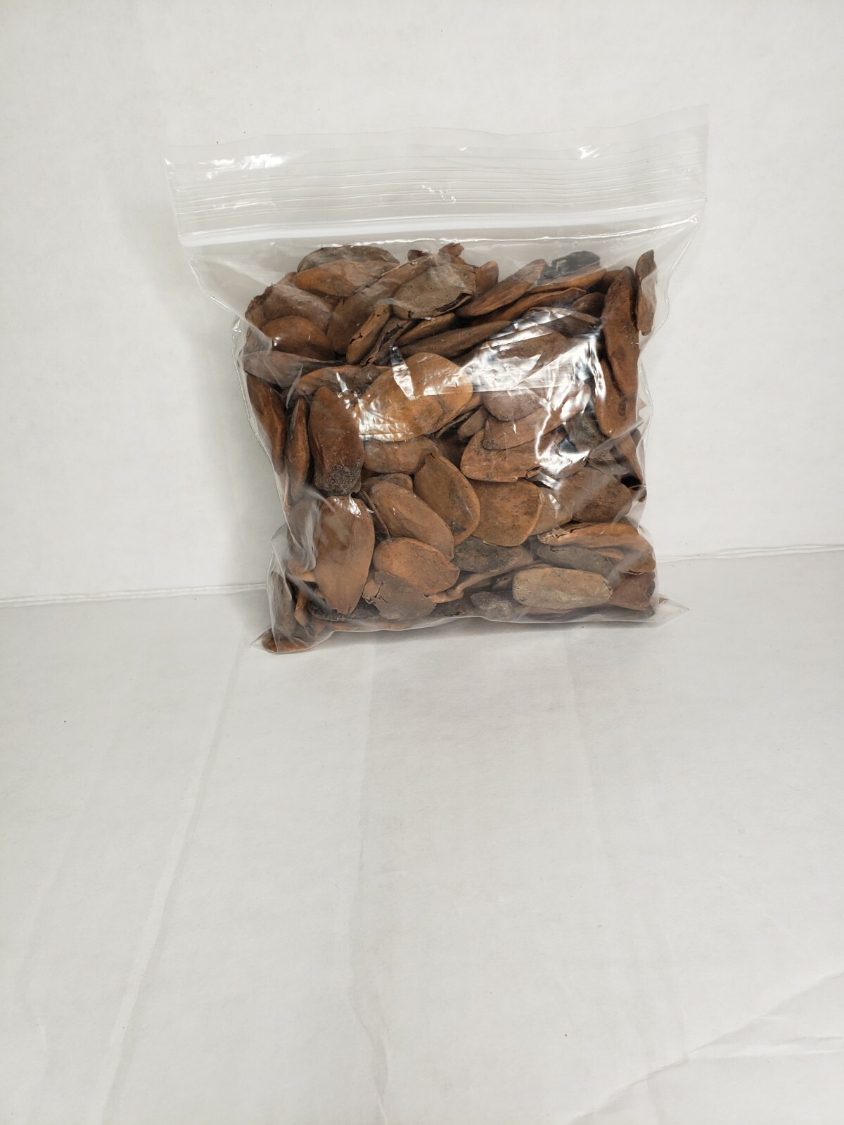 SALES Abere Seeds Miracle Seeds (Hunteria Umbellata) Diabetes seeds