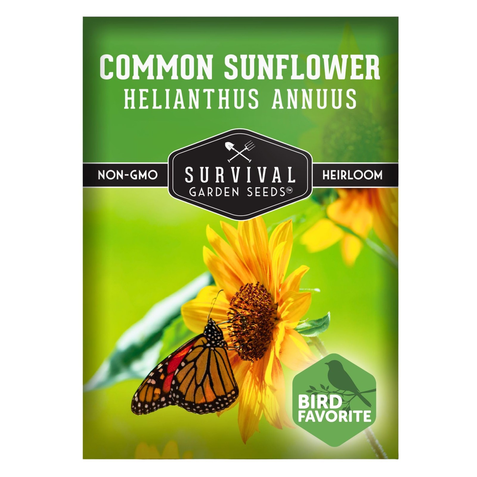 Common Sunflower (Helianthus annuus) Seeds for Planting | Giant Bird & Pollin…