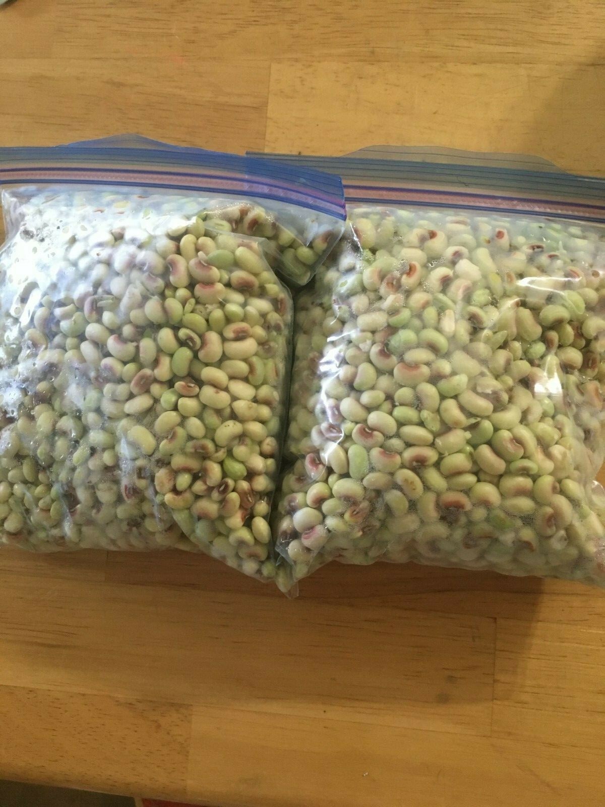 Top Pick Pinkeye Purplehull Peas Cowpeas Germination 80% Benefits St. Jude