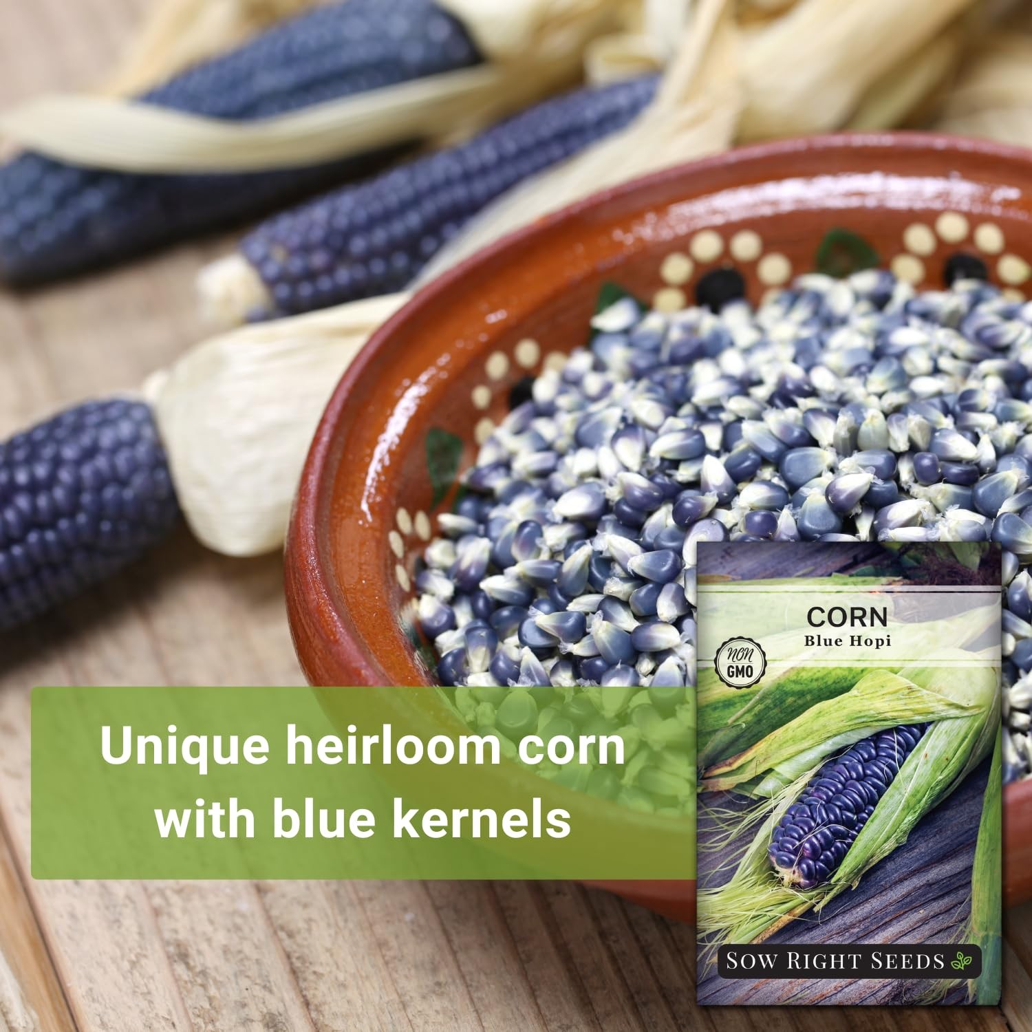 Blue Hopi Corn Seed for Planting NonGMO Heirloom Packet with Instructions t…