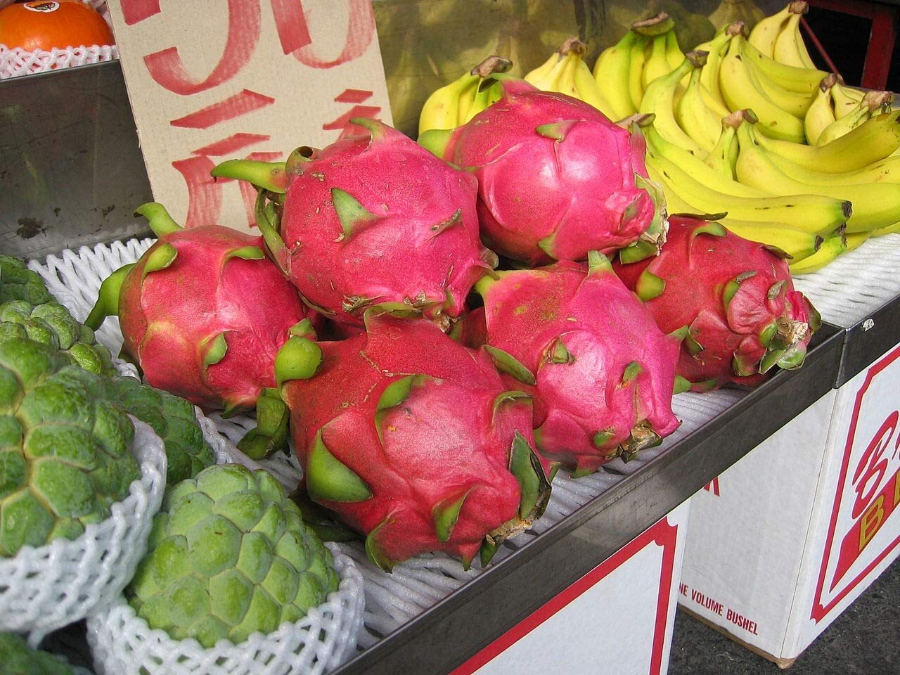 100+ Dragonfruit Seeds (Pitaya / Pitahaya / Strawberry Pear) Hylocereus Undatus