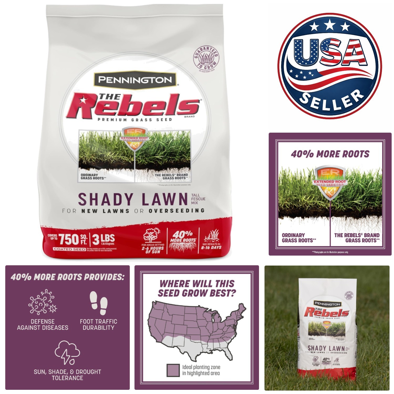 Tall Fescue Grass Seed Shady Lawn Mix – Ideal for Low Light & Drought Resistance