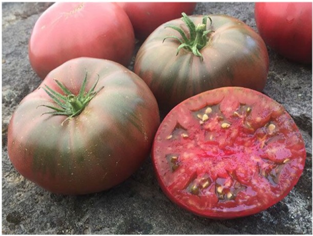 black krim tomato 25 seeds Organic Heirloom