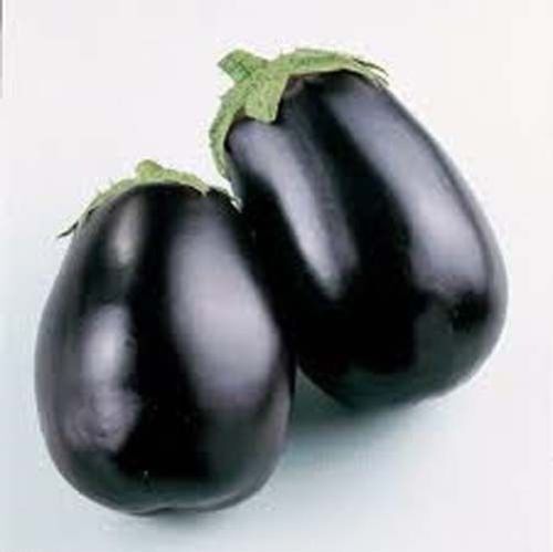 Eggplant Black Beauty Heirloom Vegetable By Seed Kingdom 1,300 Seeds