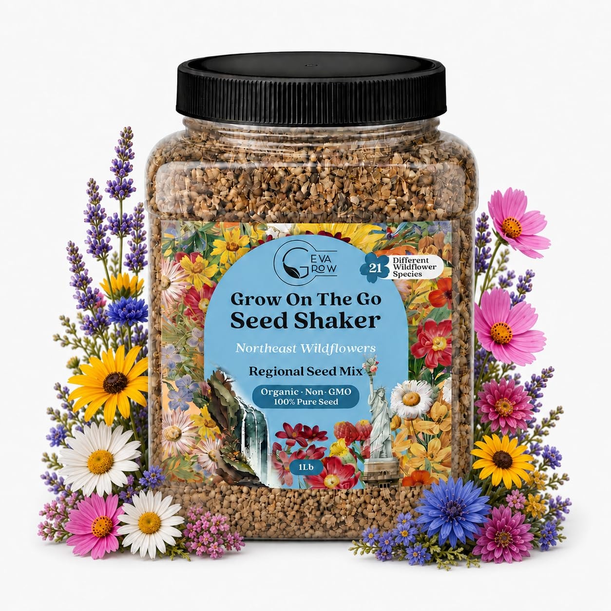 Regional Wildflower – Northeast USA Wildflowers – 100% Pure Seed – Organic, N…
