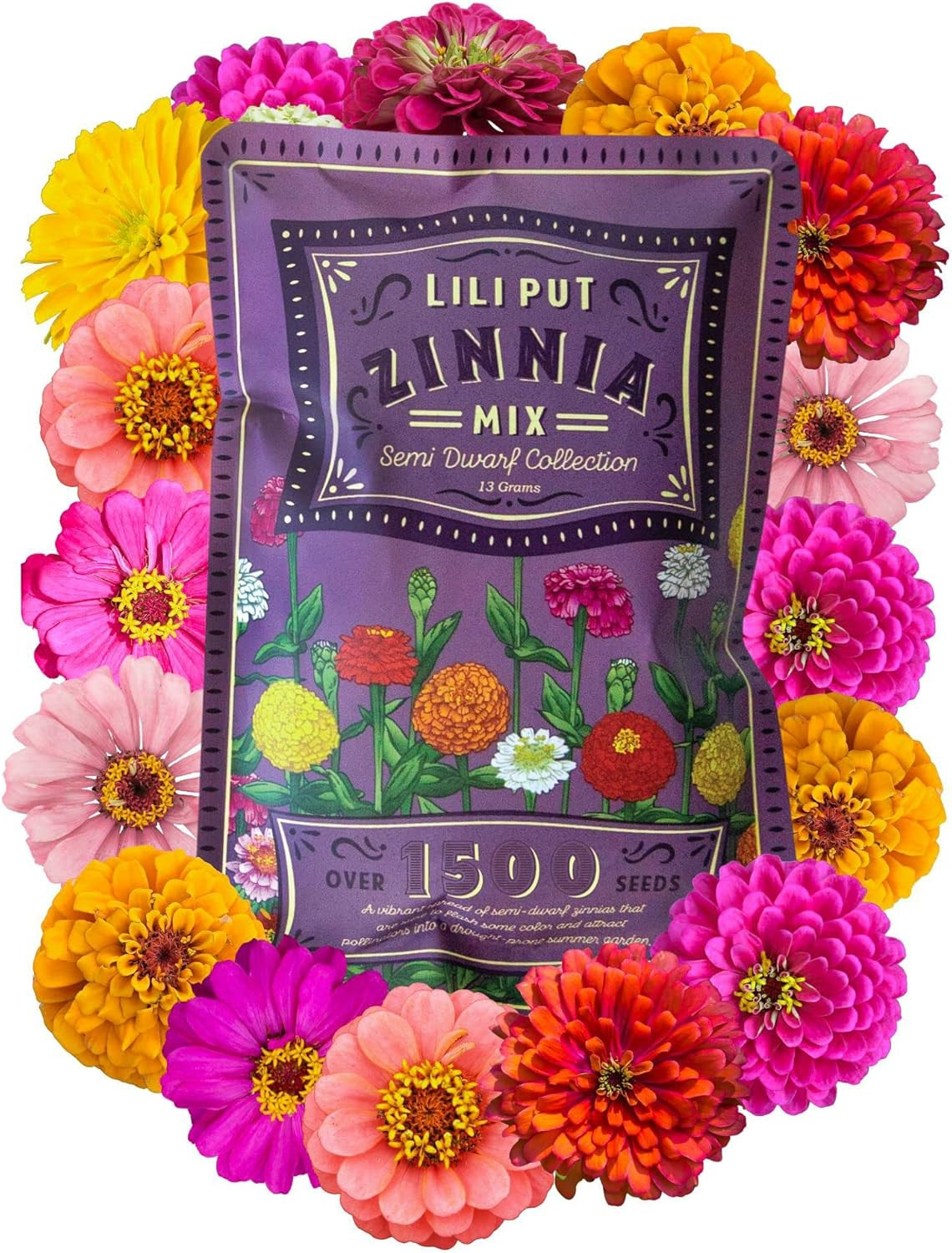 Zinnia for Planting Outdoors – ~1,500 Lilliput Semi-Dwarf Zinnia – Dazzling 1-