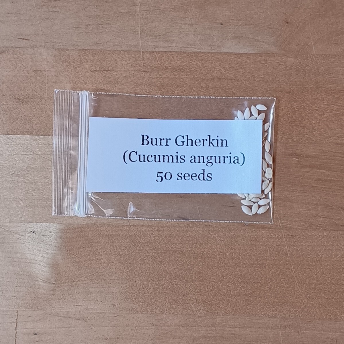 Burr Gherkin (Cucumis anguria) ~ 50 to 1000 seeds