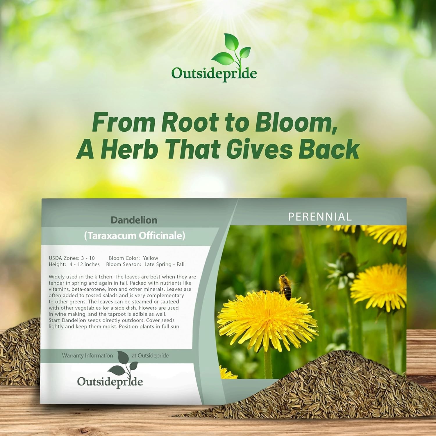 10000 Seeds Yellow Dandelion Seeds For Planting Outdoors | Drought Tolerant
