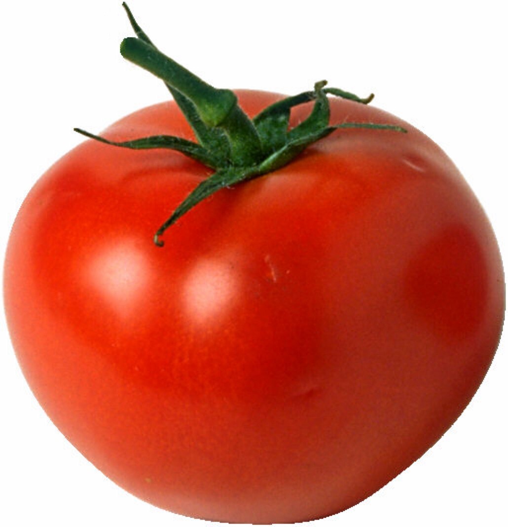 Tomato Seeds. Homestead, Non-Gmo Heirloom Tomato Seed, Very Heat Tolerant, 50ct