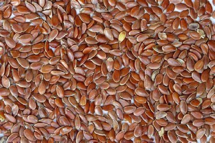 4 lb. Brown Flax Seeds for Wildlife Food Plots