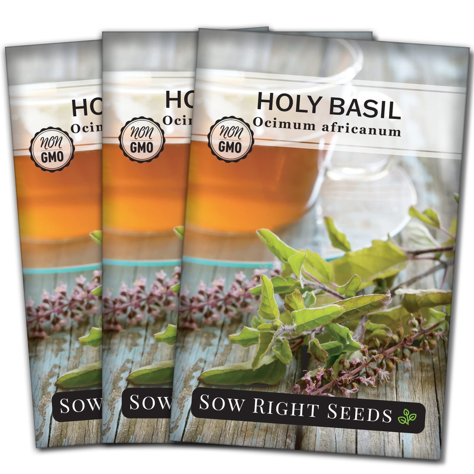 Holy Basil Tulsi Seeds for Planting – Non-GMO Culinary Herb, Indoors or Outdoors
